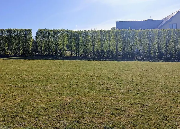 Lulu * גריפיצה