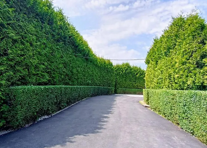 Lulu * גריפיצה